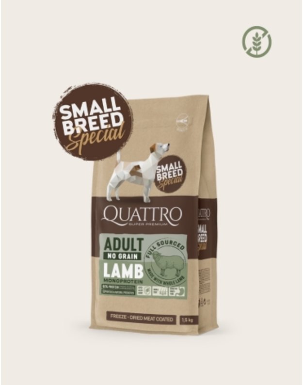 Quattro 1.5 kg. small breed adult sausas begrūdis maistas su ėriena