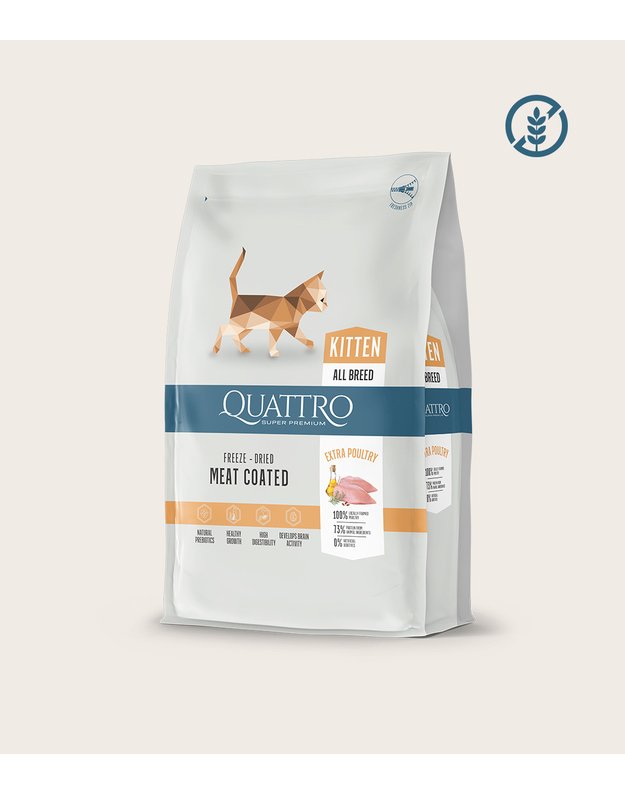 QUATTRO kitten extra poultry su paukštiena, sausas kačiukų pašaras  1,5KG