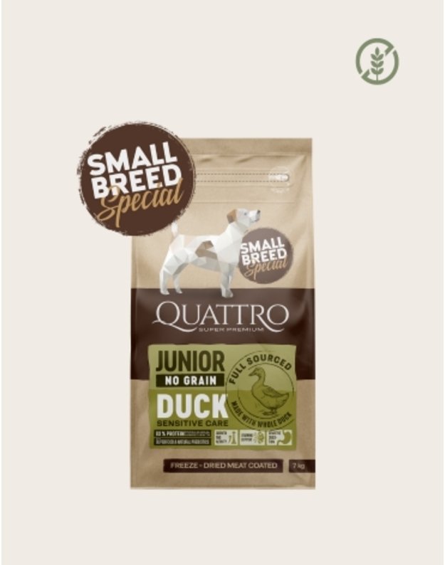 Quattro  1,5 kg Small breed Junior sausas begrūdis maistas su antiena