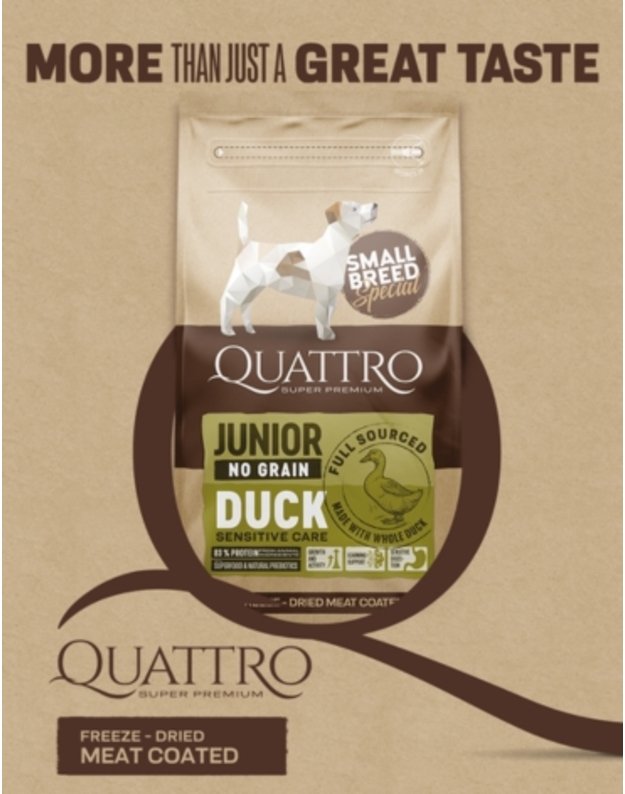 Quattro  1,5 kg Small breed Junior sausas begrūdis maistas su antiena